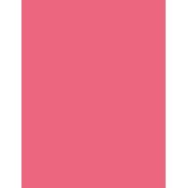 Shiseido ColorGel Lip Balm      104 Hibiscus 2g(Lipstick) Ženski