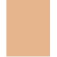 Clarins Everlasting Foundation   30Ml 110N Honey   Ženski (Makeup)