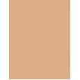 Shiseido Synchro Skin      9G Ženski (Makeup) Self-Refreshing Cushion Compact