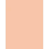 Shiseido Future Solution Lx Total Radiance Foundation  30Ml N2 Neutral  Spf15 Ženski (Makeup)