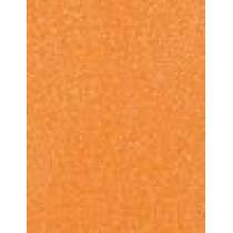 Sally Hansen Xtreme Wear 11,8Ml    (Nail Polish) Ženski  339 Tango-Rine