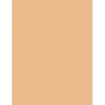 Missha M Perfect Cover BB Cream EX  SPF42   No.27 Honey Beige 20ml(BB Cream) Ženski