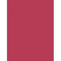 Maybelline Superstay Matte Ink Liquid  5Ml 80 Ruler   Ženski (Ruž)