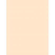 Artdeco Fixing Powder   10G    Ženski (Fiksator Šminke)