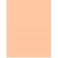 Estée Lauder Double Wear Maximum Cover  30Ml 1N1 Ivory Nude  Spf15 Ženski (Makeup)