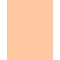 Estée Lauder Double Wear Maximum Cover  30Ml 1N1 Ivory Nude  Spf15 Ženski (Makeup)