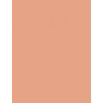 Shiseido Future Solution Lx Total Radiance Foundation  30Ml R4 Rose  Spf15 Ženski (Makeup)