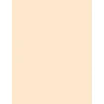 Loreal Paris True Match      11Ml Ženski (Corrector) Radiant Serum Concealer