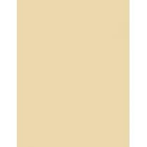 Sally Hansen Color Foil 10Ml    (Nail Polish) Ženski  140 Gold Standard