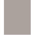 Inebrya Color      9/11 Very Light Blonde Intense Ash 100ml(Hair Color) Unisex