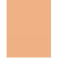 Clarins Lip Perfector      22 Peach Glow 12ml(Lip Gloss) Ženski