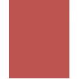 Inebrya Color      5/66F Light Chestnut Fire Red 100ml(Hair Color) Unisex