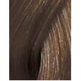 Wella Color Touch Deep Browns 60Ml  Hair Color 6-71 Ženski (Cosmetic)