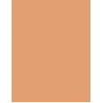 Shiseido Synchro Skin Self-Refreshing  SPF30   410 Sunstone 30ml(Makeup) Ženski