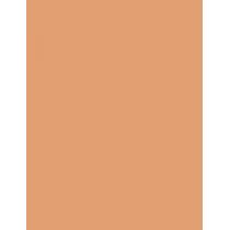 Shiseido Synchro Skin Self-Refreshing  SPF30   410 Sunstone 30ml(Makeup) Ženski