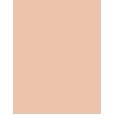 Artdeco Fluid Camouflage Foundation      Neutral 08 Cashmere 20ml(Makeup) Ženski