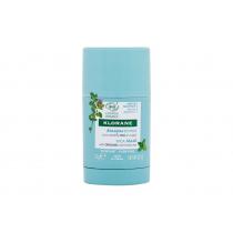 Klorane Aquatic Mint Stick Mask  25G    Ženski (Maska Za Lice)