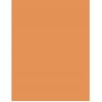 Lancaster Infinite Bronze  Spf30    50Ml Ženski (Makeup) Tinted Protection