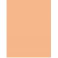 Inebrya Kromask Coloring Nourishing Mask     Honey 250ml(Hair Color) Unisex