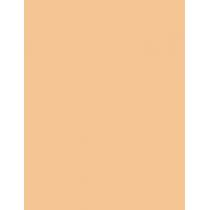 Rimmel London Match Perfection Spf20  30Ml 102 Light Nude   Ženski (Makeup)