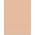 Missha M Perfect Cover BB Cream EX  SPF42   No.23 Natural Beige 50ml(BB Cream) Ženski