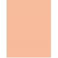 Artdeco Fluid Camouflage Foundation      Neutral 15 Natural Sand 20ml(Makeup) Ženski