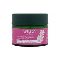 Weleda Wild Rose      40Ml Ženski (Day Cream) & White Tea Smoothing Day Cream