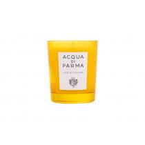 Acqua di Parma Luce Di Colonia       70g(Scented Candle)Bez kutije Unisex
