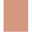 Shiseido UV Protective Compact Foundation  SPF30   Dark Beige 12g(Makeup) Ženski