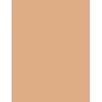 Bourjois Paris Always Fabulous 24H  30Ml 420 Light Sand  Spf20 Ženski (Makeup)