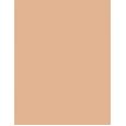 Clinique Moisture Surge  Spf25    40Ml Ženski (Bb Cream) Sheertint Hydrator