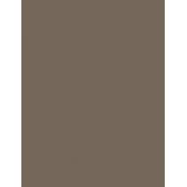 Rimmel London Brow This Way Professional Pencil  1,4G 005 Ash Brown   Ženski (Olovka Za Obrve)