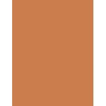 Rimmel London Wonder'Last      1,64G Ženski (Eye Shadow) Shadow Stick