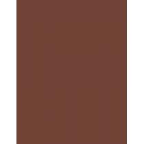 Maybelline Color Tattoo 24H Eyestix 1,4G  Ženski  (Eye Shadow)  25 I Am Determined