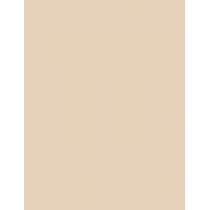 Clinique Almost Powder Makeup Spf15 10G  Ženski  (Makeup)  02 Neutral Fair