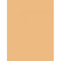 Estée Lauder Double Wear Maximum Cover  30Ml 3N1 Ivory Beige  Spf15 Ženski (Makeup)