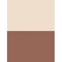 Nyx Professional Makeup Wonder Stick 8G    (Corrector) Ženski  02 Universal Light