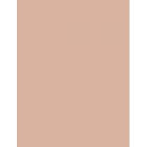 Dr. Hauschka Coverstick   2G 01 Natural   Ženski (Korektor)