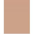 Shiseido Synchro Skin Self-Refreshing  30Ml 250 Sand  Spf30 Ženski (Makeup)