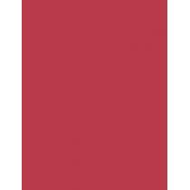 Nyx Professional Makeup Line Loud 1,2G    (Lip Pencil) Ženski  12 On A Mission