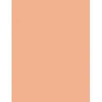 Rimmel London Hide The Blemish   4,5G 105 Golden Beige   Ženski (Korektor)