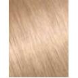 Revlon Colorsilk Beautiful Color Hair Color 59,1Ml 73 Champagne Blonde   Ženski (Boja Kose)