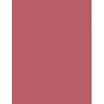 Max Factor Lipfinity 24Hrs  4,2G 001 Pearly Nude   Ženski (Ruž)