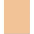 Shiseido Revitalessence  Spf30    30Ml Ženski (Makeup) Skin Glow Foundation