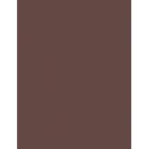 Maybelline Lifter Liner      1,2G Ženski (Lip Pencil)