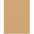 TIRTIR Mask Fit Red Cushion      29N Natural Beige 18g(Makeup) Unisex