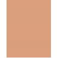 Shiseido UV Protective Compact Foundation  SPF30   Dark Ivory 12g(Makeup) Ženski