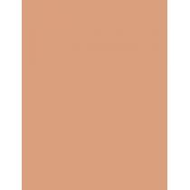 Shiseido UV Protective Compact Foundation  SPF30   Dark Ivory 12g(Makeup) Ženski