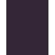 Inebrya Bionic Color      4/2 Chestnut Violet 100ml(Hair Color) Unisex