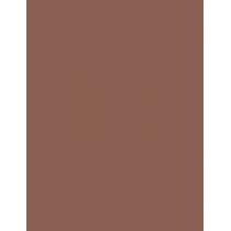 Maybelline Brow Tattoo   4,6G Medium Brown   Ženski (Boja Obrva)